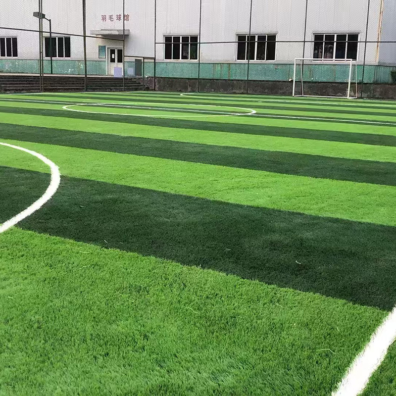 足球场草坪施工效果图